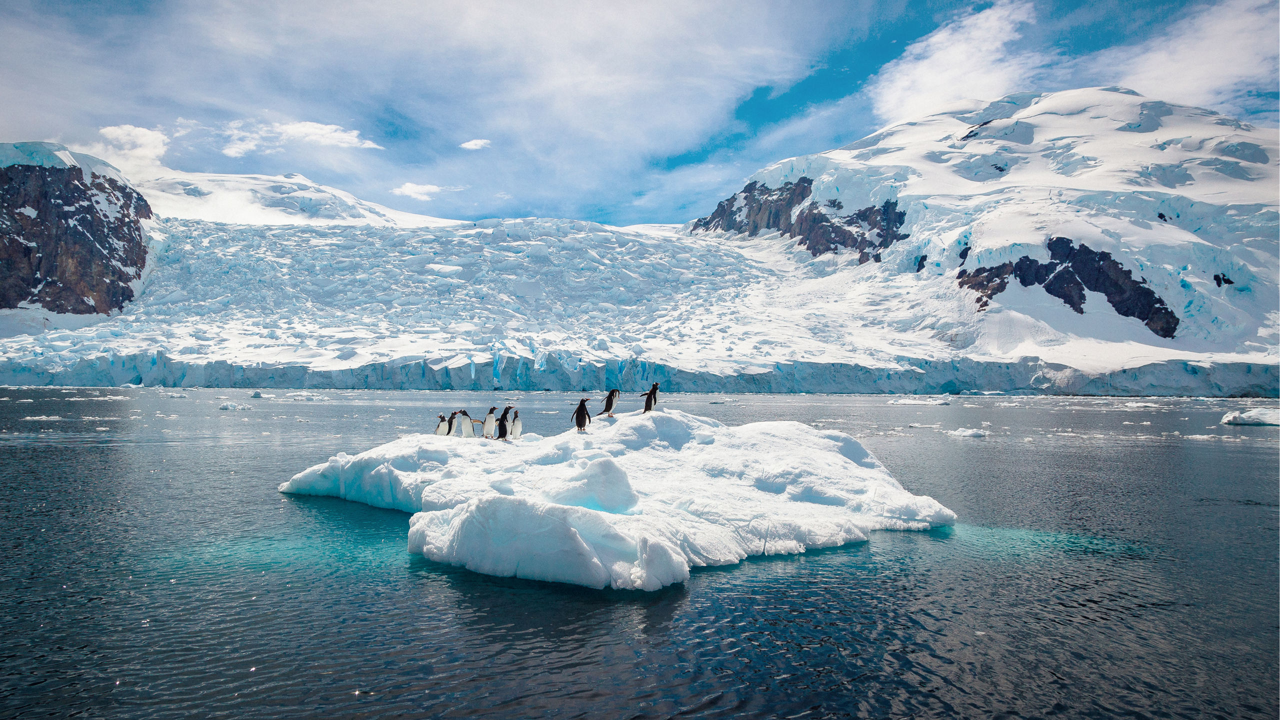 Into the Antarctic Circle 2027 - Penguins Small Iceberg Antarctica 16x9