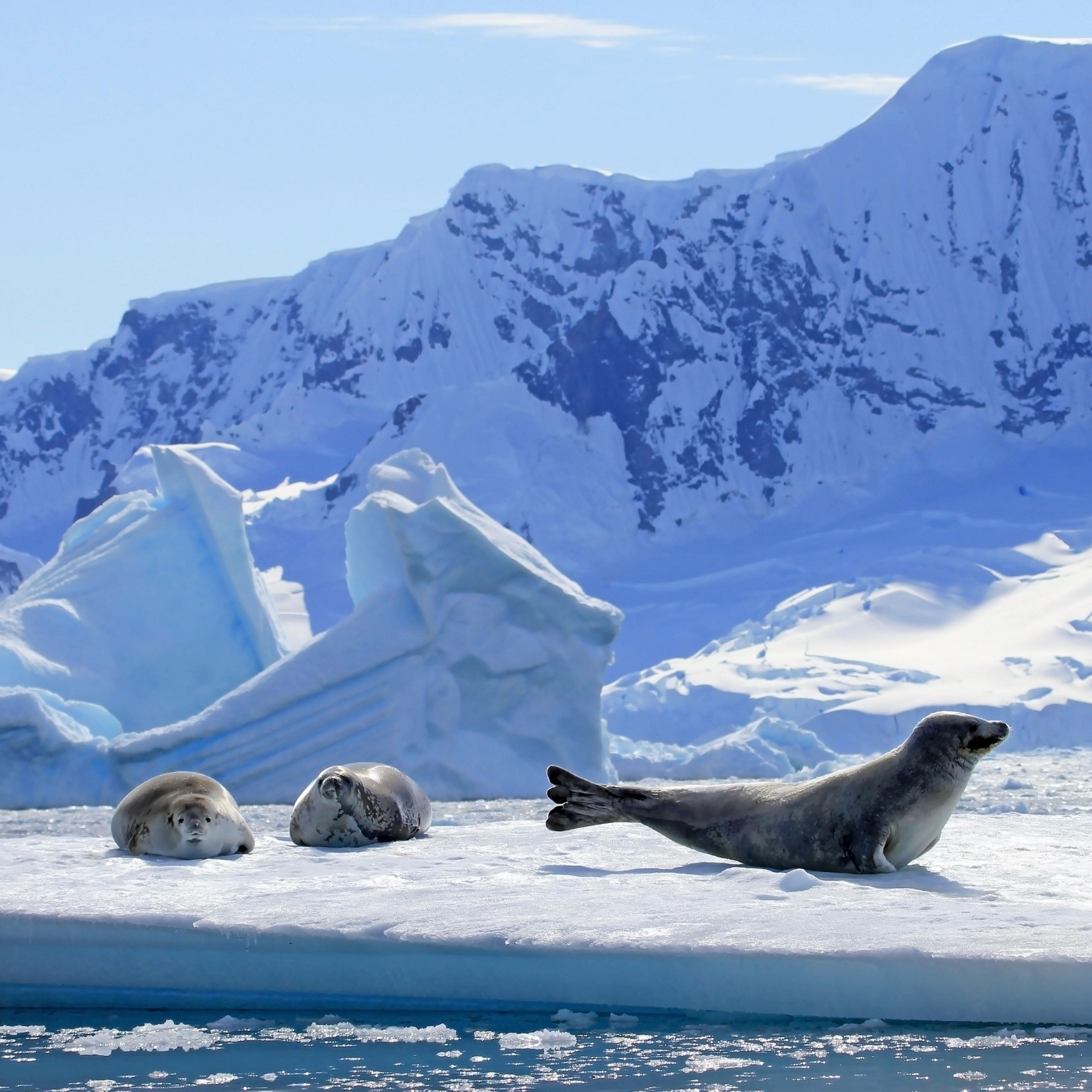 Into the Antarctic Circle