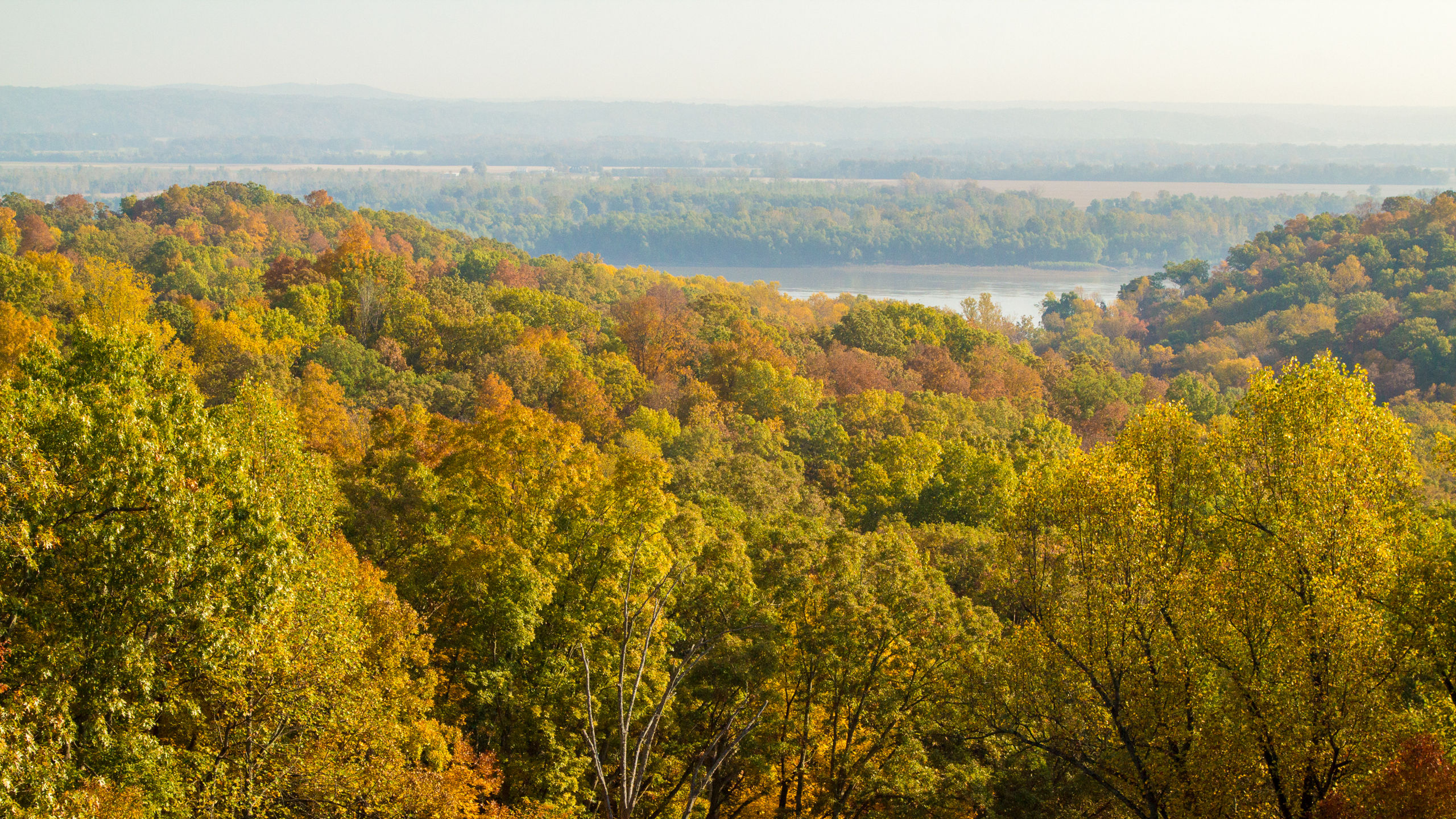 Mississippi River Odyssey