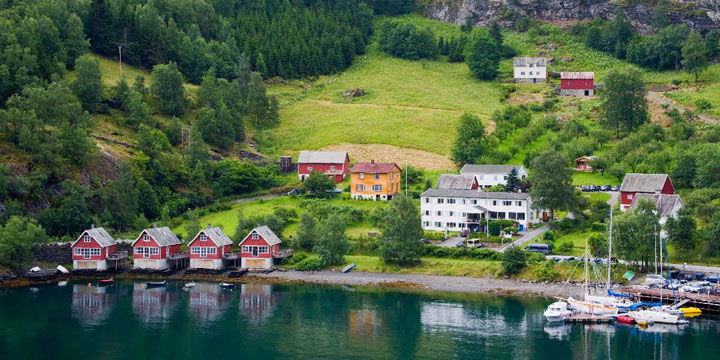 Viking Shores & Fjords