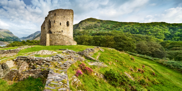 Viking World Voyage III