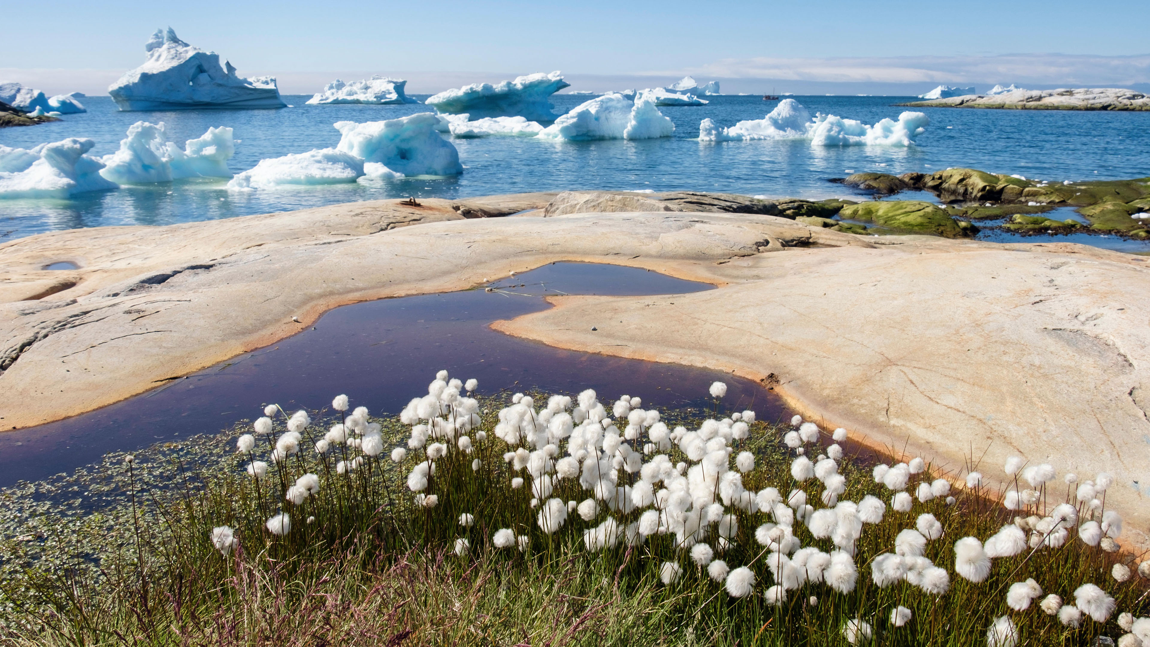 Into the Northwest Passage