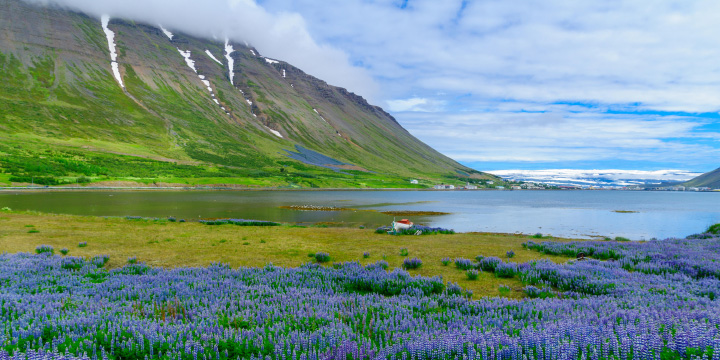 Iceland & Norway's Arctic Explorer